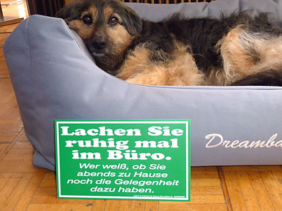Steuerberater für Seesen und Hannover Bilanzen und Finanzbuchhaltung